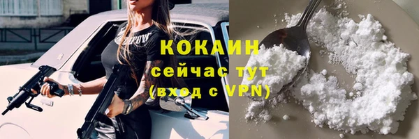 мдпв Михайлов