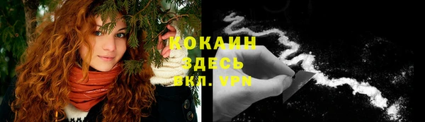 мдпв Михайлов