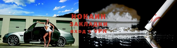 индика Мегион