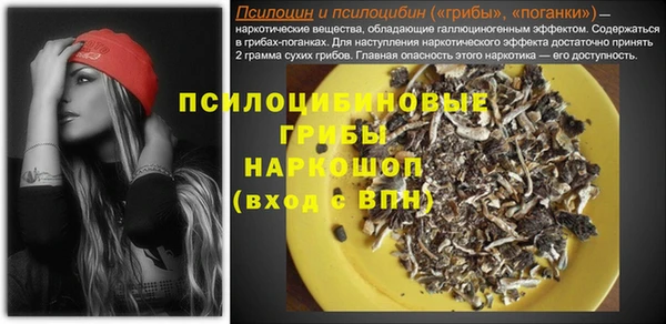 PSILOCYBIN Наволоки