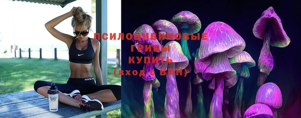 мдпв Михайлов