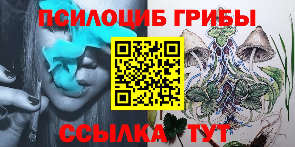 Новокубанск  Псилоцибиновые грибы Cubensis  Вход с VPN 