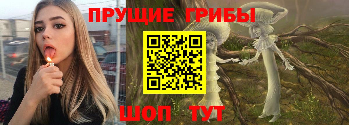 Галлюциногенные грибы мицелий Новокубанск